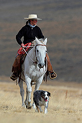 Horseback Riding MyCorona CA